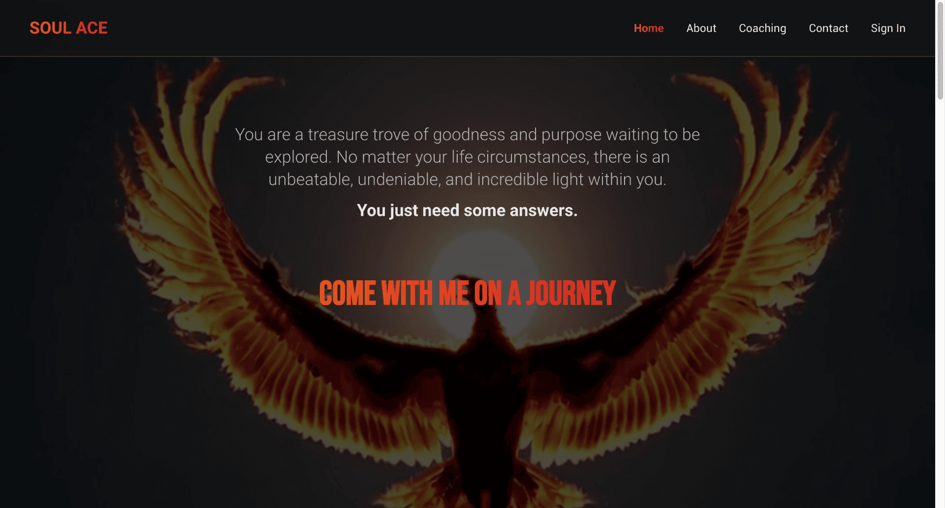 Soul Ace Coaching project