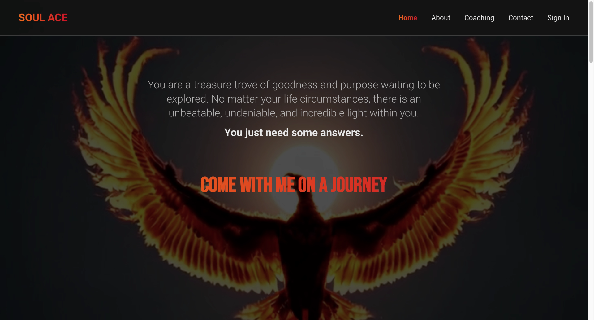 Soul Ace Coaching project screenshot